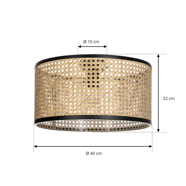 Rattan